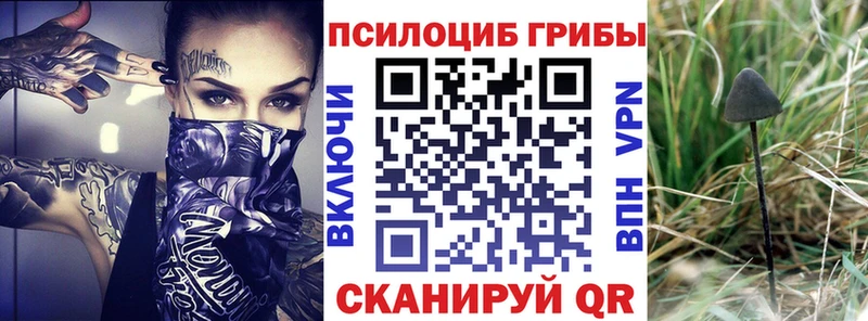 Купить закладки Новокузнецк Галлюциногенные грибы Cubensis