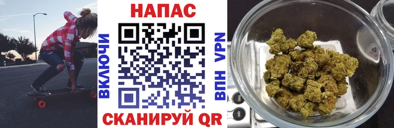 Каннабис сатива  Купить  Новокузнецк 