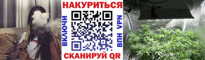 Каннабис гибрид Новокузнецк